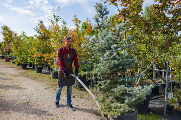 Professional Tree Services in Red Oaks Mill, NY